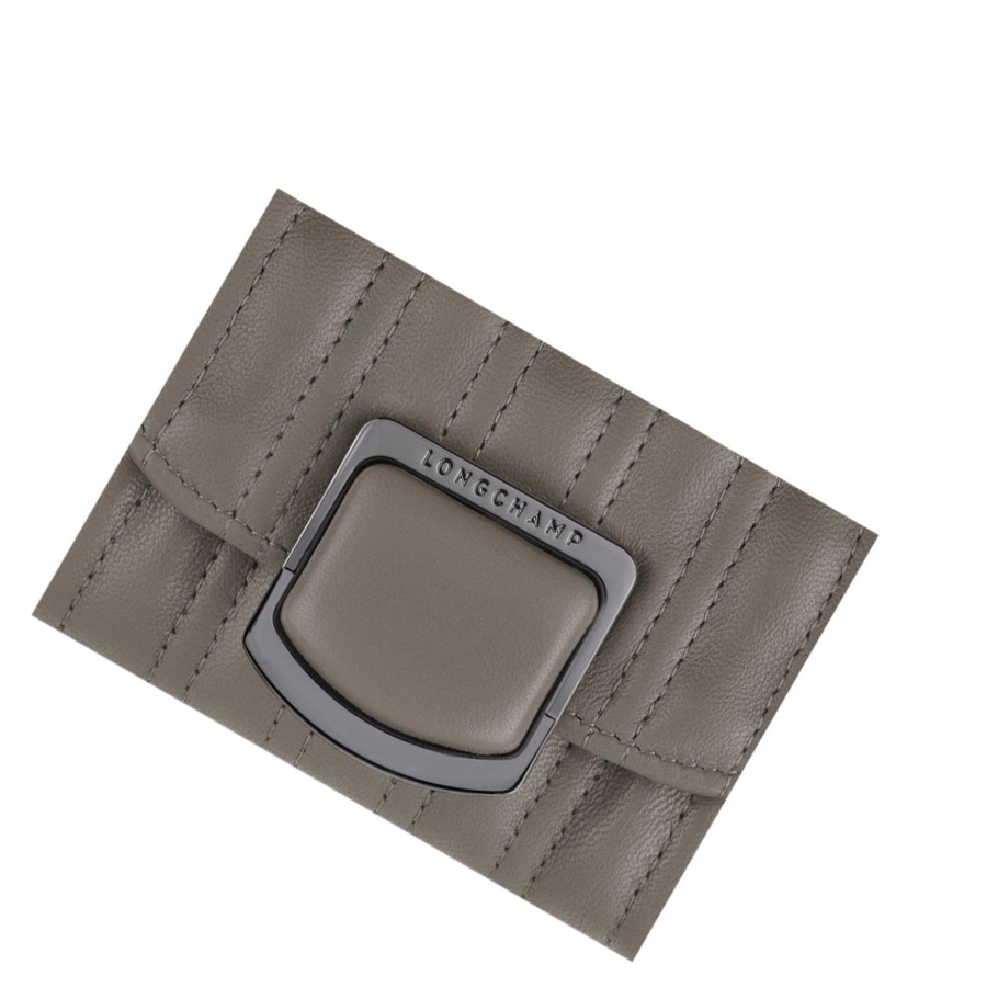 Longchamp Brioche Kaarthouder Dames Grijs | NL-VH35681