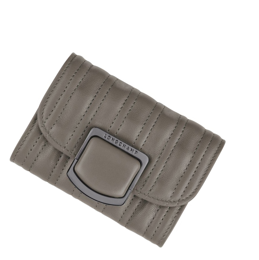 Longchamp Brioche Kaarthouder Dames Grijs | NL-VH35681