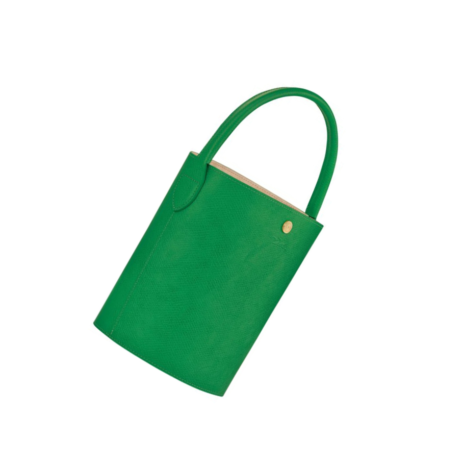 Longchamp Cuir De Russie Handtas Dames Groen | NL-DA54897
