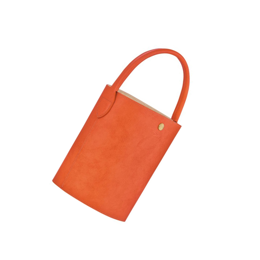 Longchamp Cuir De Russie Handtas Dames Oranje | NL-ID14738