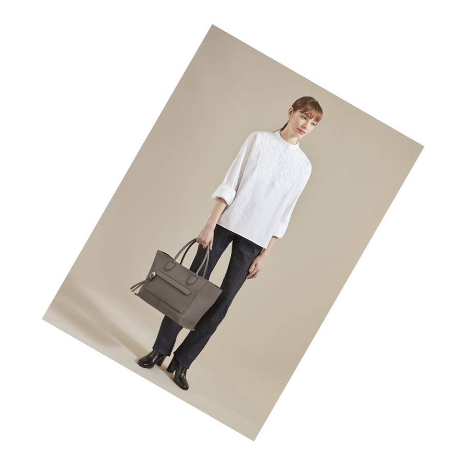 Longchamp Mailbox L Handtas Dames Bruin | NL-IF82634
