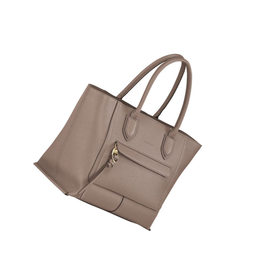 Longchamp Mailbox L Handtas Dames Bruin | NL-IF82634