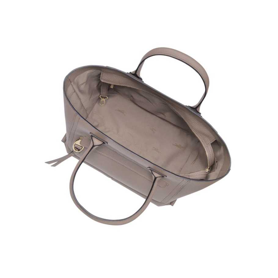 Longchamp Mailbox L Handtas Dames Bruin | NL-IF82634