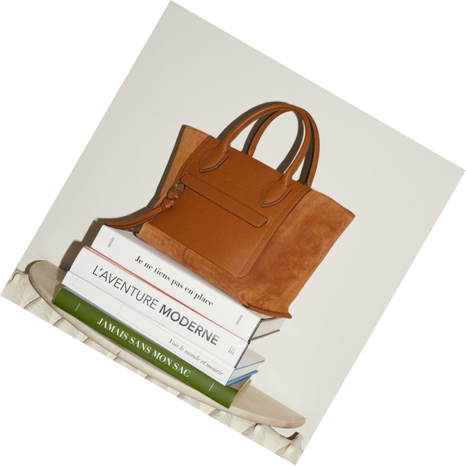 Longchamp Mailbox M Handtas Dames Bruin | NL-GE53940