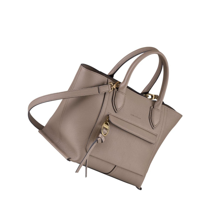 Longchamp Mailbox M Handtas Dames Bruin | NL-PQ05964