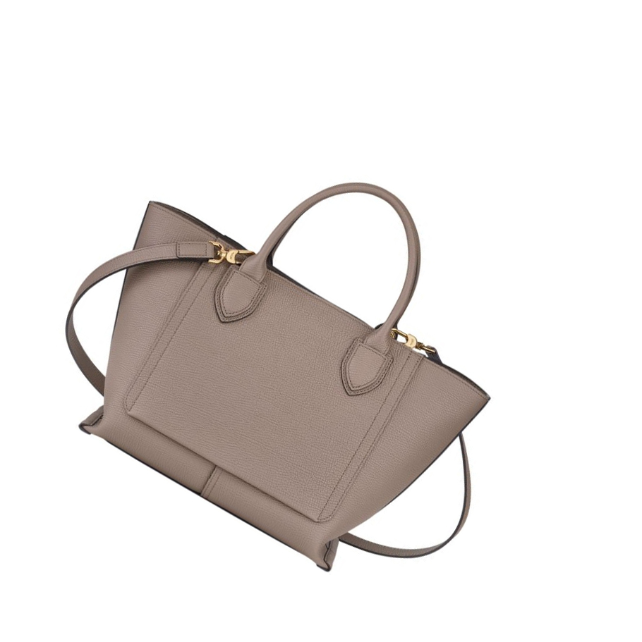 Longchamp Mailbox M Handtas Dames Bruin | NL-PQ05964