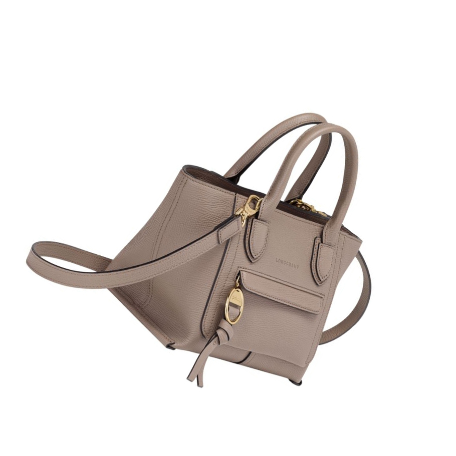 Longchamp Mailbox S Handtas Dames Bruin | NL-QC09423