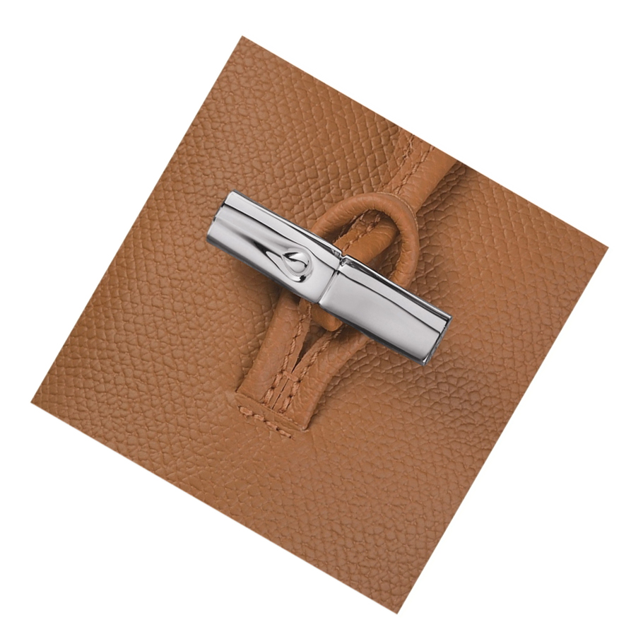 Longchamp Roseau Hoesje Dames Beige | NL-FB06374