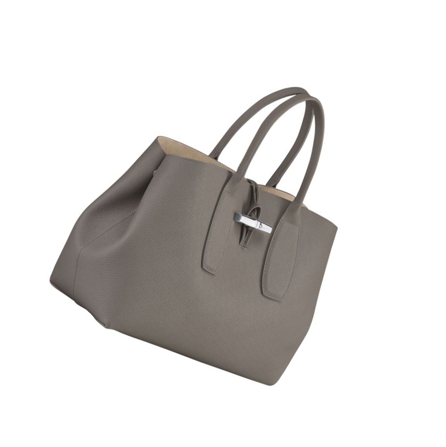 Longchamp Roseau L Handtas Dames Grijs | NL-GX43051