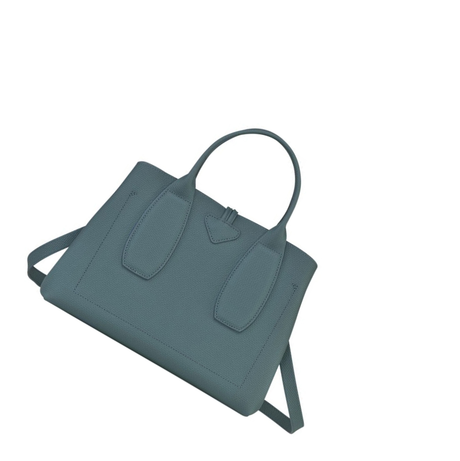 Longchamp Roseau M Handtas Dames Blauw | NL-WB13856