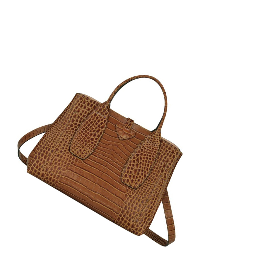 Longchamp Roseau M Handtas Dames Bruin | NL-IX58172