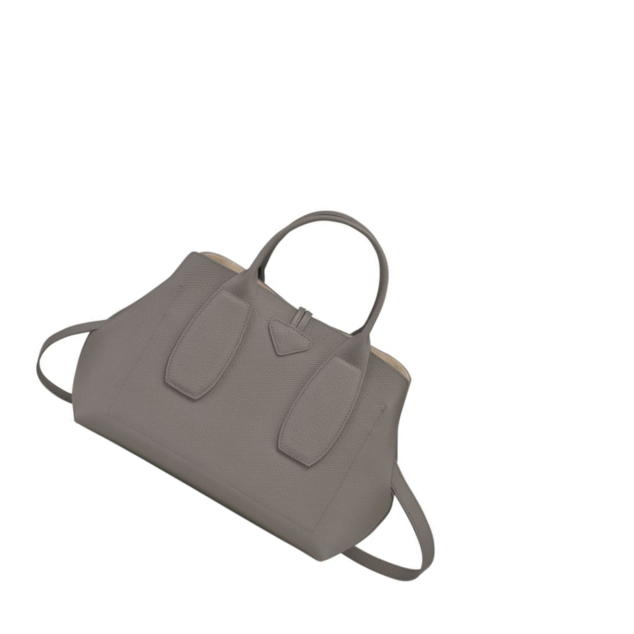 Longchamp Roseau M Handtas Dames Grijs | NL-FL42957