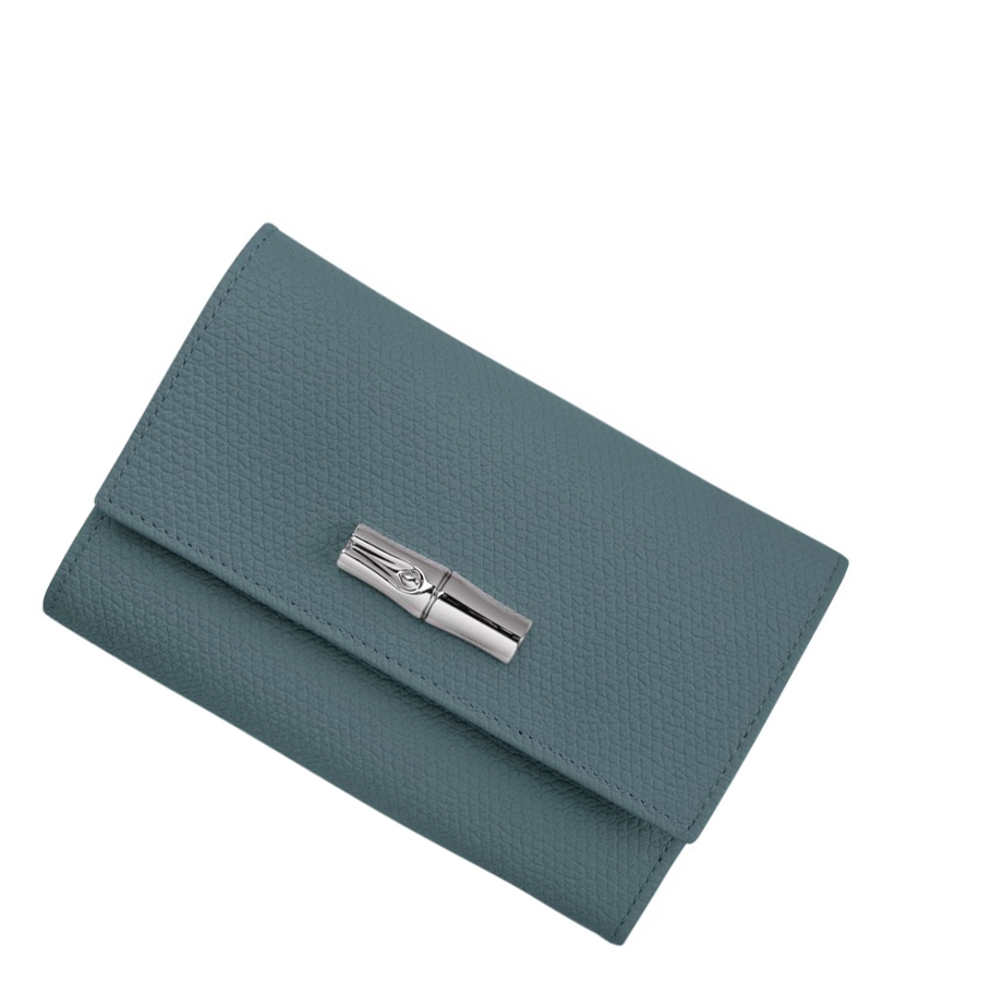 Longchamp Roseau Portefeuille Dames Blauw | NL-QA78596