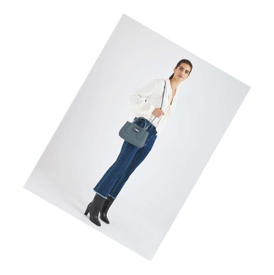 Longchamp Roseau S Handtas Dames Blauw | NL-FY57810