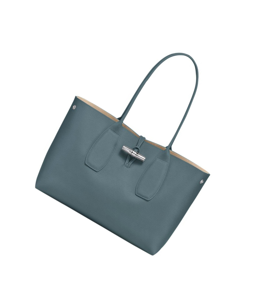 Longchamp Roseau Schoudertassen Dames Blauw | NL-HA07453