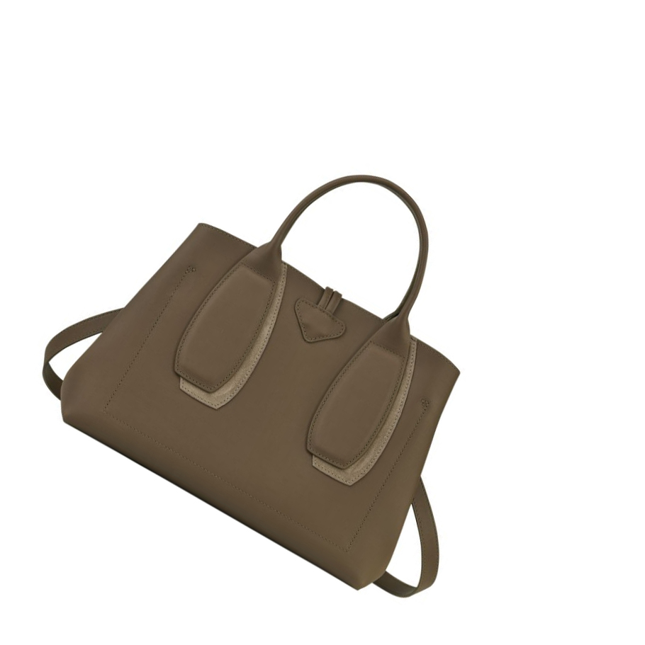 Longchamp Roseau Shadow M Handtas Dames Bruin | NL-TM83490