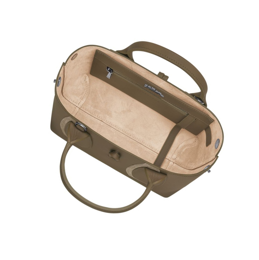 Longchamp Roseau Shadow S Handtas Dames Bruin | NL-UZ07841
