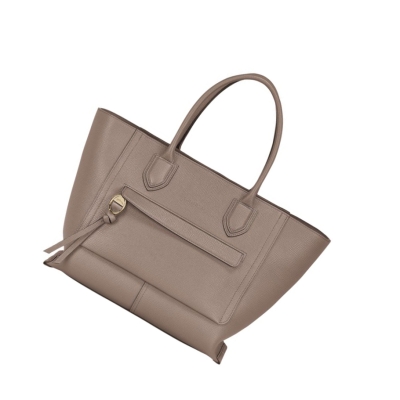Longchamp Mailbox L Handtas Dames Bruin | NL-IF82634