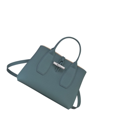 Longchamp Roseau M Handtas Dames Blauw | NL-WB13856
